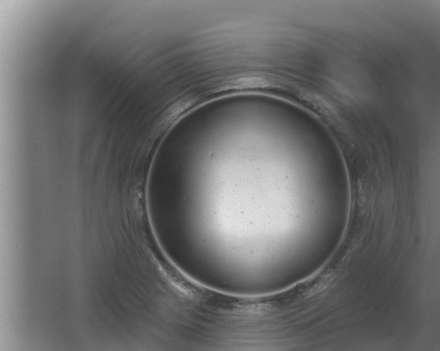 X0000064051225200602031615