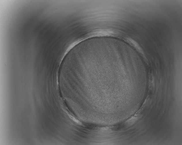 X0000064051226200602031615