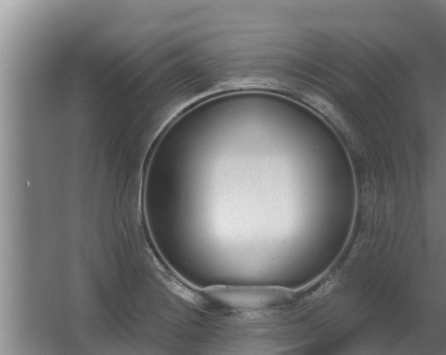 X0000064051228200602031615