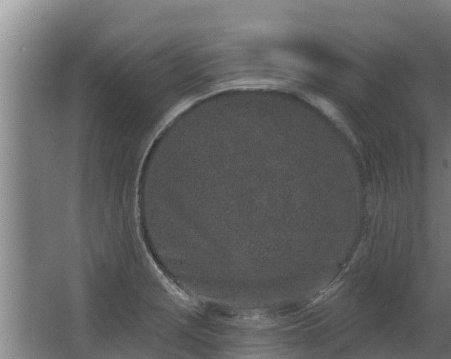 X0000064051229200602031615