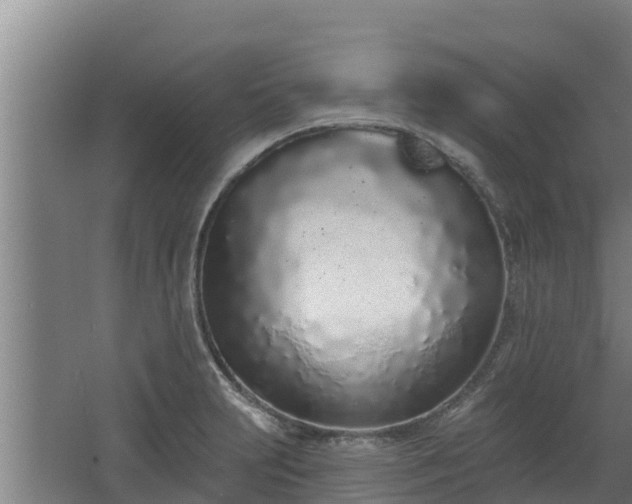 X0000064051231200602031615