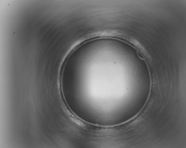 X0000064051232200602031615