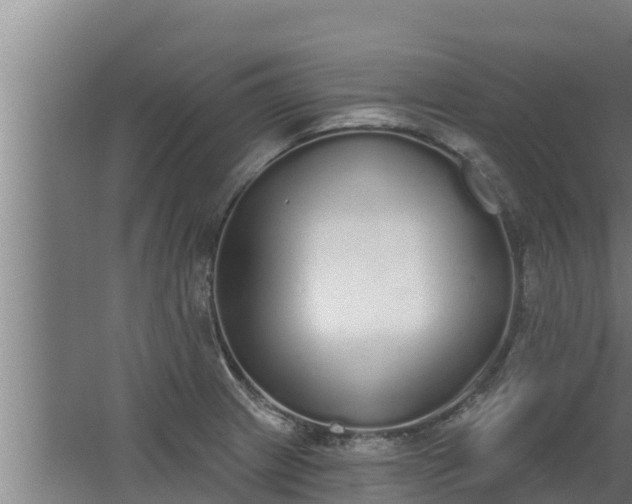 X0000064051233200602031615