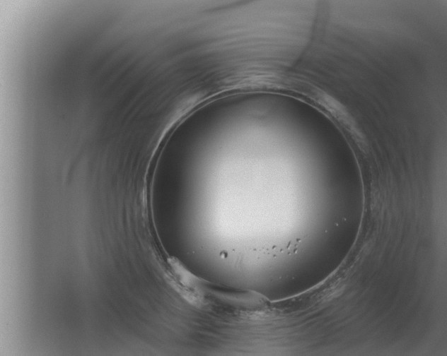 X0000064051234200602031615