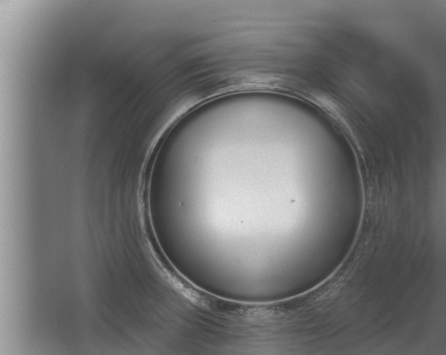 X0000064051235200602031615