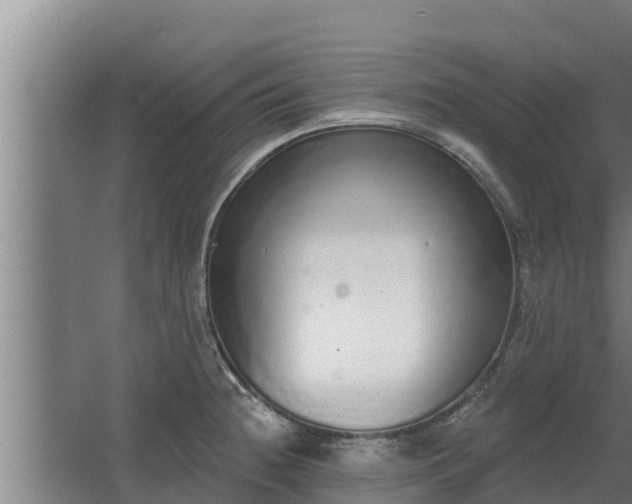 X0000064051236200602031615