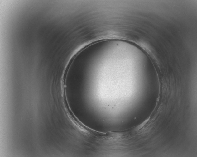 X0000064051238200602031615