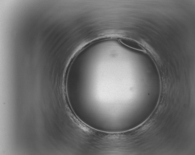 X0000064051240200602031615