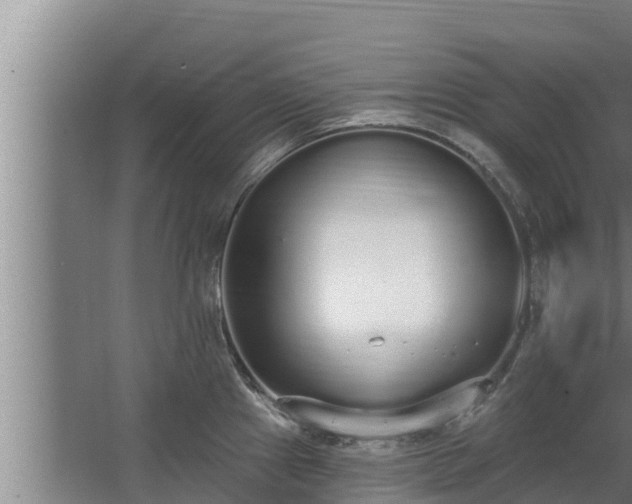 X0000064051241200602031615