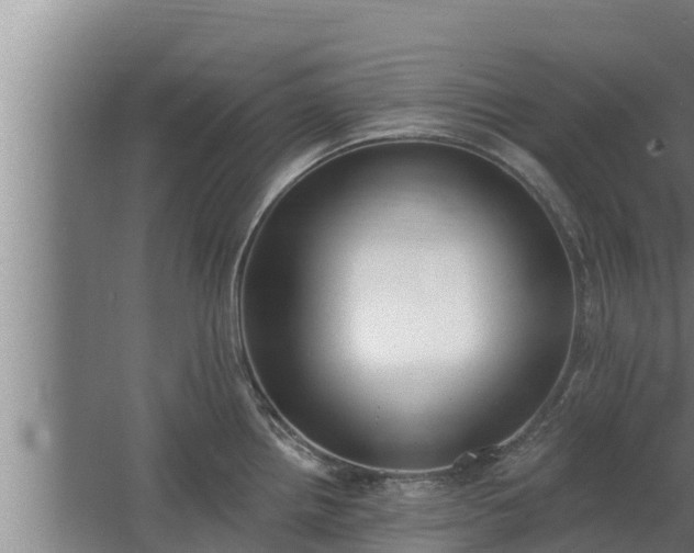 X0000064051242200602031615