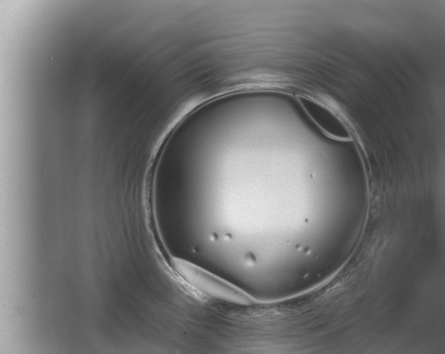 X0000064051243200602031615