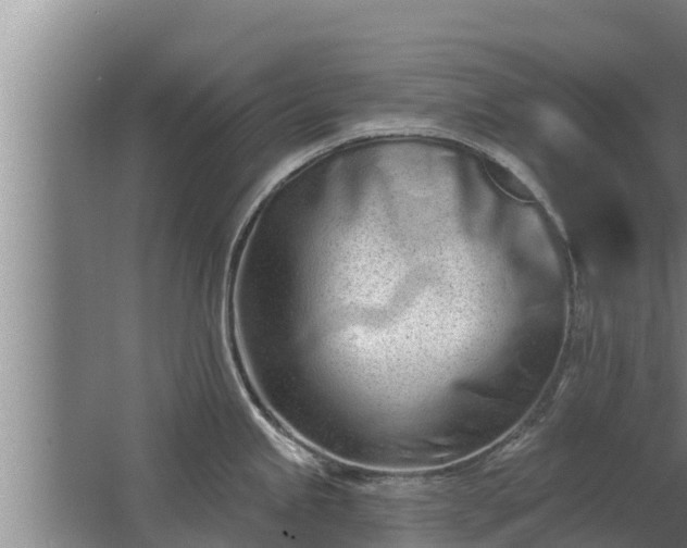 X0000064051245200602031615