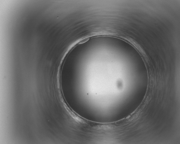 X0000064051246200602031615