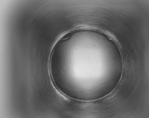 X0000064051247200602031615