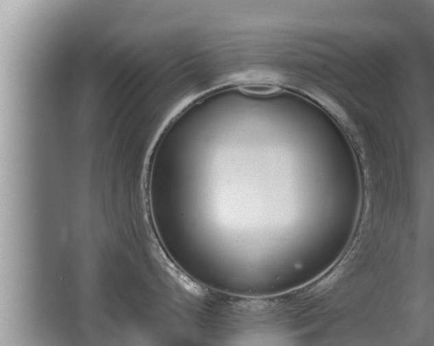 X0000064051248200602031615