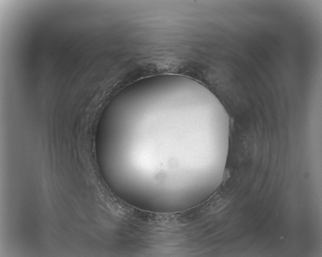 X0000064051249200602031614