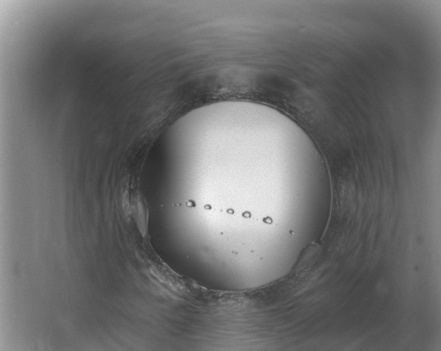 X0000064051250200602031614