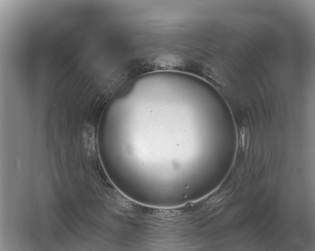 X0000064051251200602031614