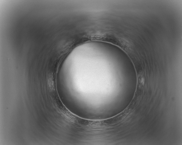 X0000064051252200602031614