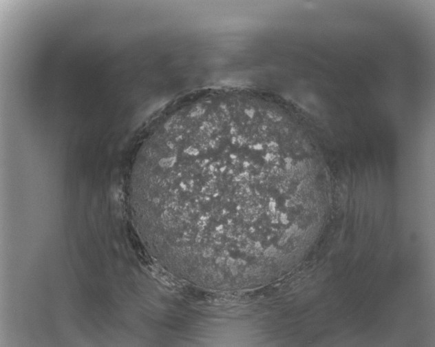 X0000064051254200602031614