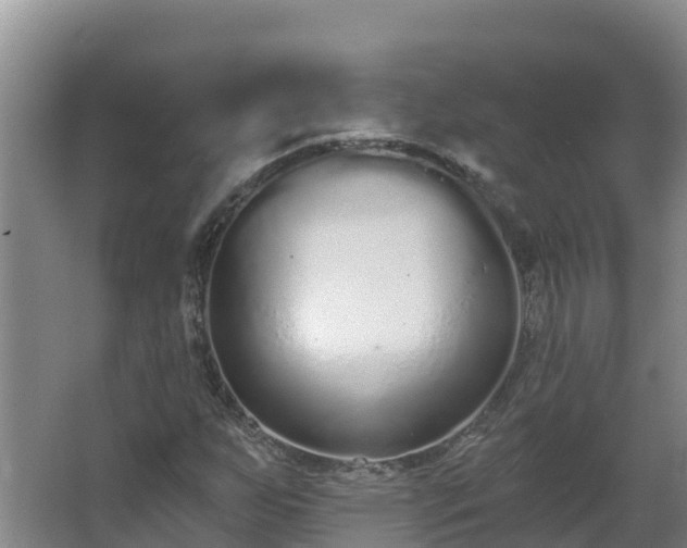 X0000064051255200602031614