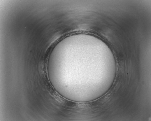 X0000064051258200602031614