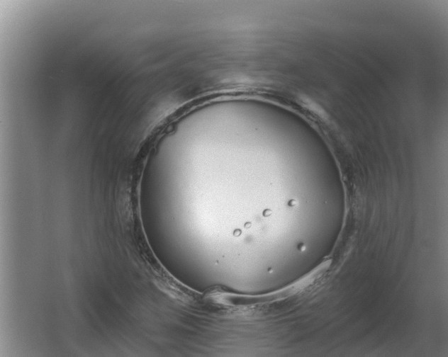 X0000064051259200602031614