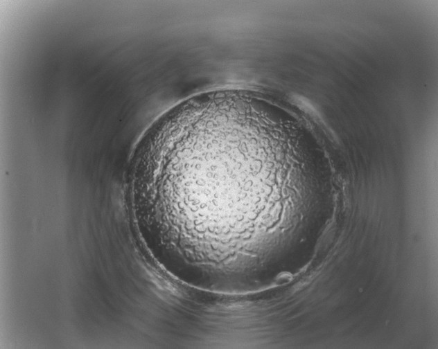 X0000064051260200602031614