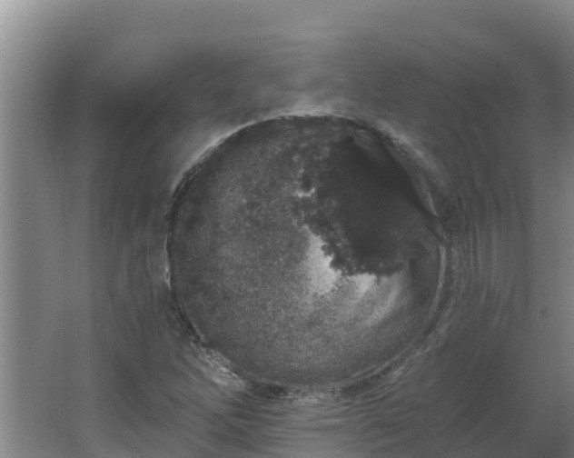 X0000064051262200602031614