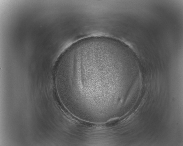 X0000064051263200602031614