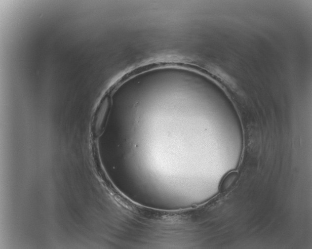 X0000064051264200602031614