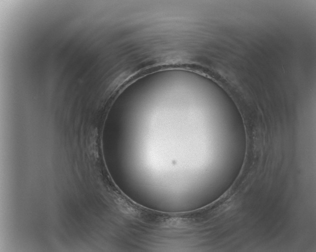 X0000064051265200602031614