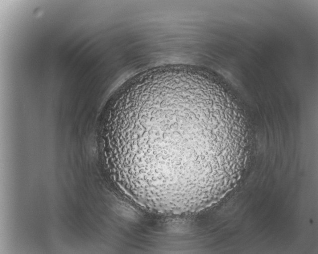 X0000064051266200602031614