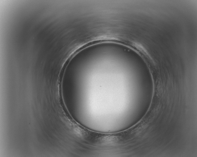 X0000064051268200602031614