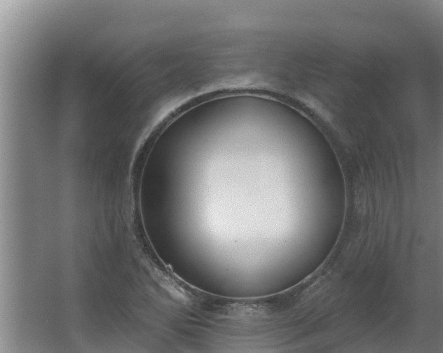 X0000064051270200602031614