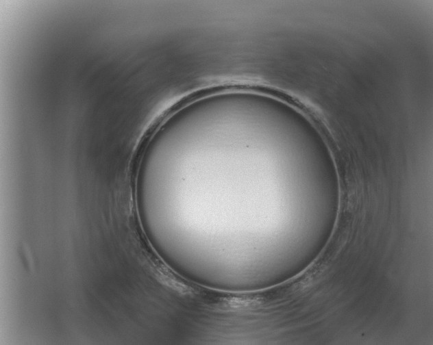 X0000064051271200602031614