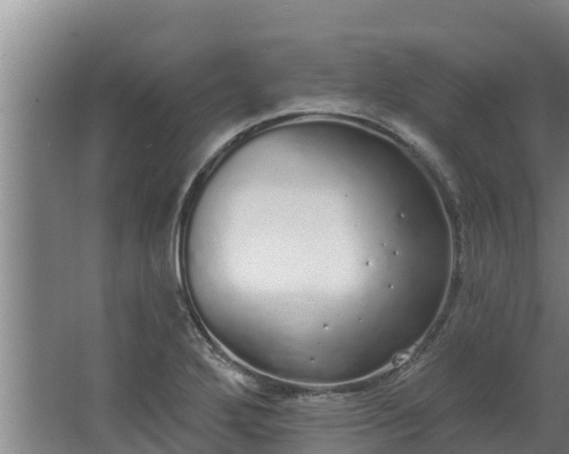 X0000064051272200602031614