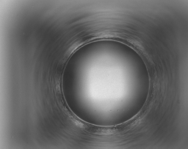 X0000064051273200602031614