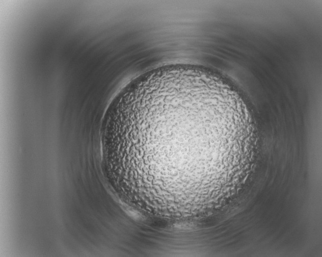 X0000064051274200602031614