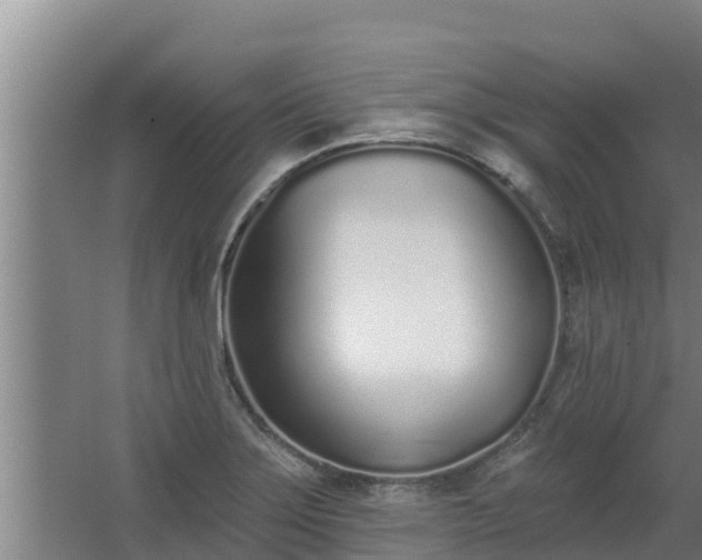 X0000064051275200602031614