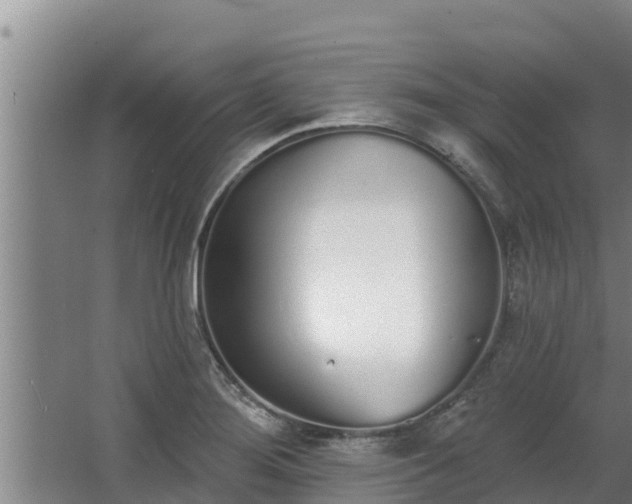 X0000064051276200602031614