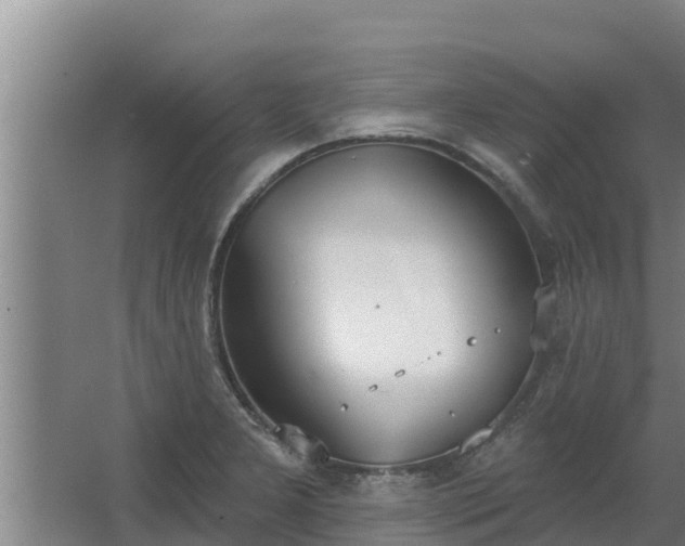 X0000064051277200602031614