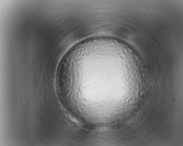 X0000064051278200602031614