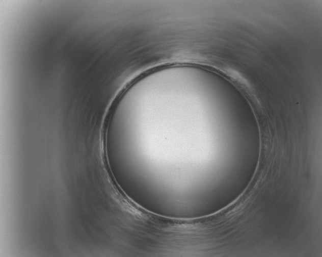 X0000064051280200602031614