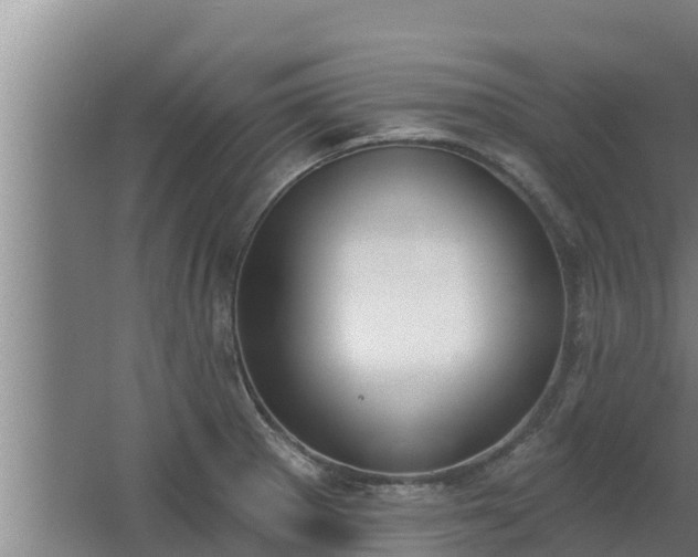 X0000064051281200602031614