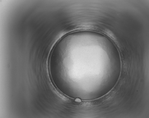 X0000064051283200602031614