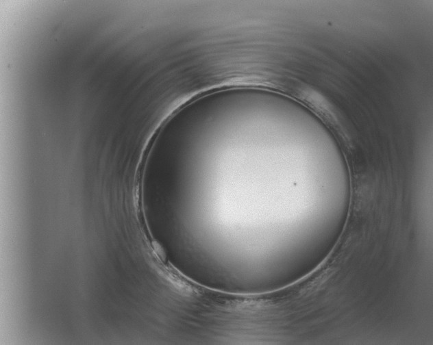 X0000064051284200602031614