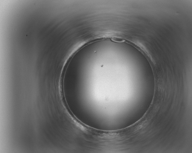 X0000064051285200602031614