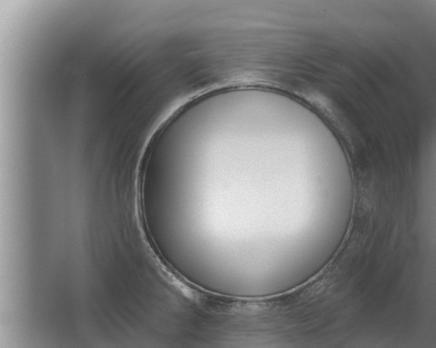 X0000064051286200602031614