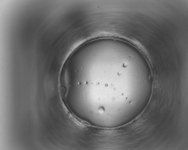 X0000064051287200602031614